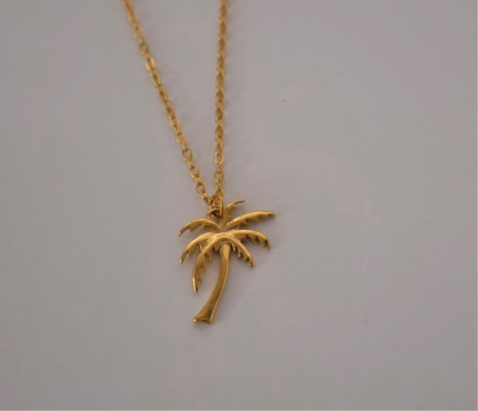 Palma Coco